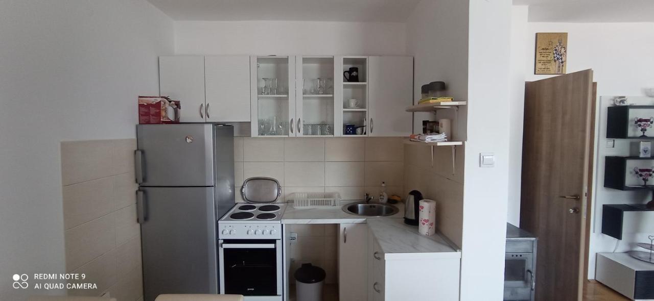 Apartman Bujisic Διαμέρισμα Plužine Εξωτερικό φωτογραφία